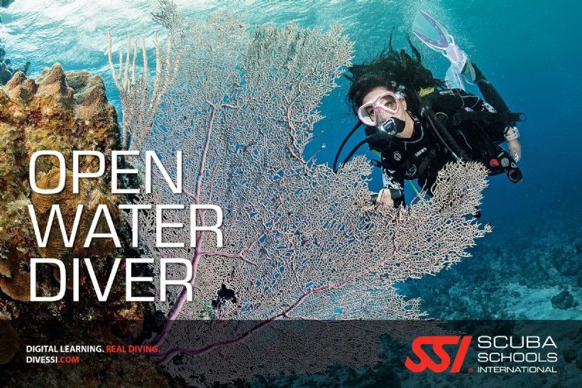 Open Water Diver