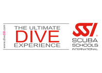 SSI Logo