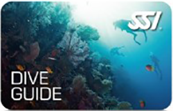 Dive Guide