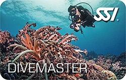 Dive Master